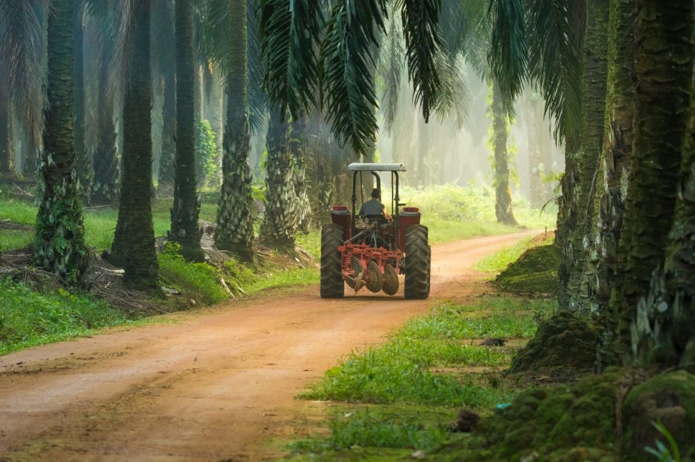 Trabajador del equipo de Palma Solaram en el campo